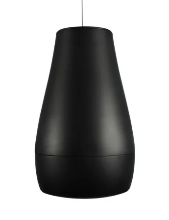 Купить BIAMP Desono P6 Black по выгодной цене в Санкт-Петербурге