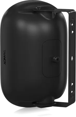 Купить Tannoy DVS 401 по выгодной цене в Санкт-Петербурге