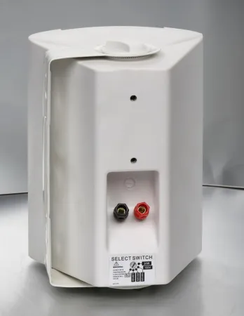 Купить SVS Audiotechnik WS-20 White по выгодной цене в Санкт-Петербурге
