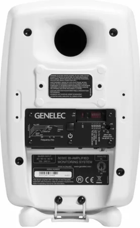 Купить Genelec 8030CW по выгодной цене в Санкт-Петербурге