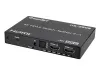 Купить iconBIT HS-2505 по выгодной цене в Санкт-Петербурге