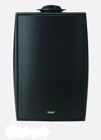 Купить TANNOY DVS 4T по выгодной цене в Санкт-Петербурге