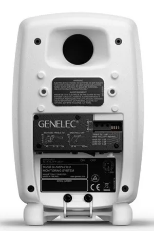 Купить Genelec 8020DWM по выгодной цене в Санкт-Петербурге