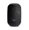 Купить BIAMP MASK6CT-BL по выгодной цене в Санкт-Петербурге