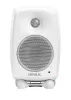 Genelec 8020DWM