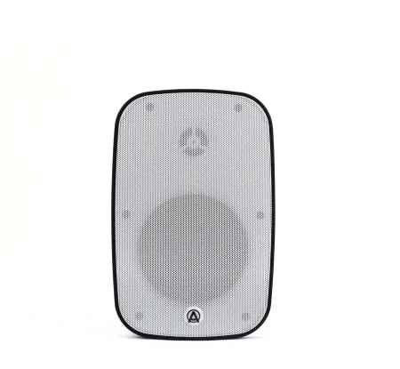 Купить AuraSonics DENSE-5T-WH по выгодной цене в Санкт-Петербурге