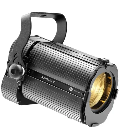 Купить DTS SCENA LED 80 по выгодной цене в Санкт-Петербурге