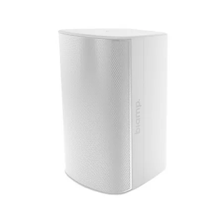 Купить BIAMP EX-S10SUB-CM-W по выгодной цене в Санкт-Петербурге