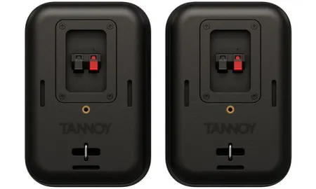 Купить TANNOY VMS 1 по выгодной цене в Санкт-Петербурге