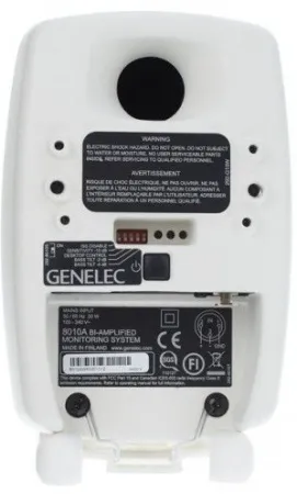 Купить Genelec 8010AW по выгодной цене в Санкт-Петербурге