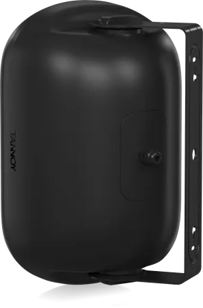 Купить Tannoy DVS 601 по выгодной цене в Санкт-Петербурге