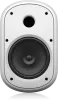 Купить Tannoy DVS 801-WH по выгодной цене в Санкт-Петербурге