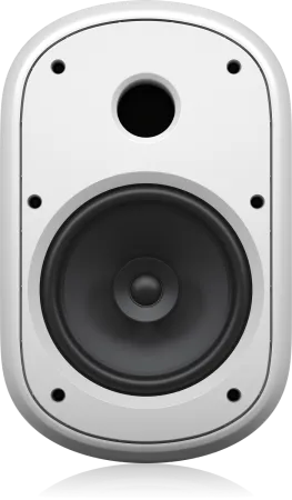 Купить Tannoy DVS 801-WH по выгодной цене в Санкт-Петербурге