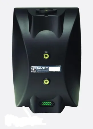 Купить TANNOY DVS 4T по выгодной цене в Санкт-Петербурге
