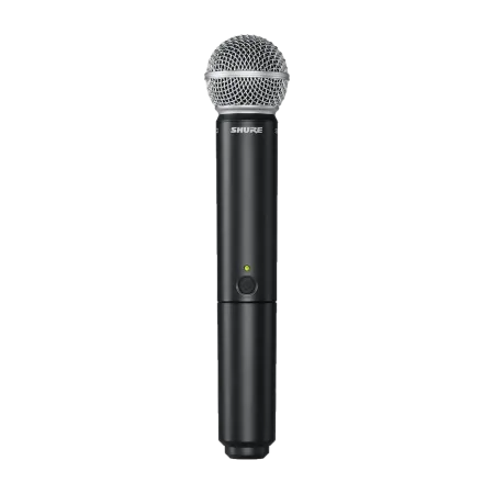 Купить SHURE BLX24E/SM58 M17 по выгодной цене в Санкт-Петербурге