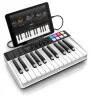 Купить IK MULTIMEDIA iRig Keys I/O 25 по выгодной цене в Санкт-Петербурге