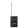 Купить Pasgao PAW-920 Rx_2x PBT-801 TxB по выгодной цене в Санкт-Петербурге