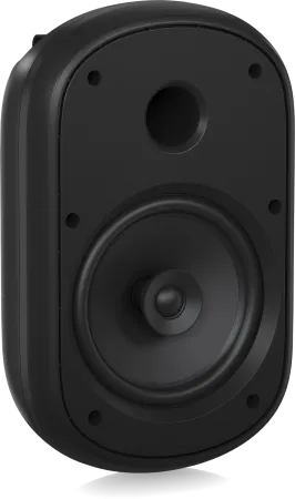 Купить Tannoy DVS 801 по выгодной цене в Санкт-Петербурге