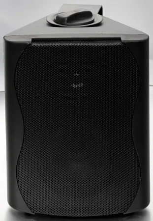 Купить SVS Audiotechnik WS-20 Black по выгодной цене в Санкт-Петербурге
