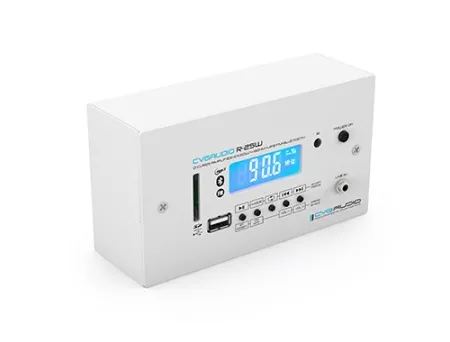 CVGAUDIO R-25W