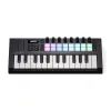 Купить NOVATION Launchkey Mini 25 MK4 по выгодной цене в Санкт-Петербурге