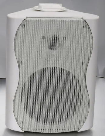 Купить SVS Audiotechnik WS-20 White по выгодной цене в Санкт-Петербурге