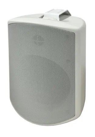 SVS Audiotechnik WSP-6W Pro