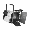 Купить ANZHEE PRO Spectrum Fresnel W 300 по выгодной цене в Санкт-Петербурге
