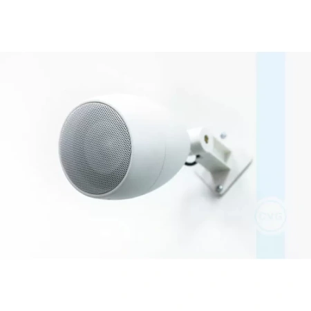 Купить CVGAUDIO Flo308W по выгодной цене в Санкт-Петербурге