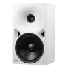 Купить Genelec 8380AW по выгодной цене в Санкт-Петербурге