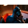 Купить Sennheiser HD 300 PROtect по выгодной цене в Санкт-Петербурге