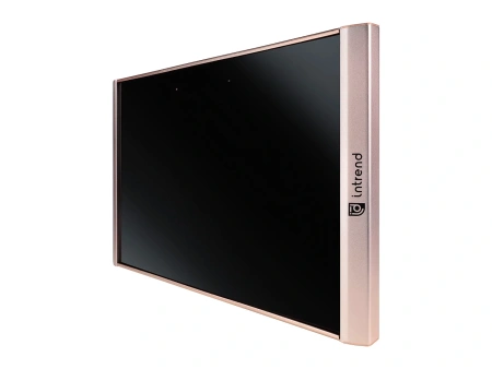 Купить Intrend ICS-IR-TX по выгодной цене в Санкт-Петербурге