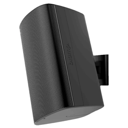 Купить BIAMP EX-S10-CM-B по выгодной цене в Санкт-Петербурге