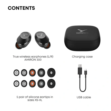 Купить Beyerdynamic Amiron 300 Black по выгодной цене в Санкт-Петербурге
