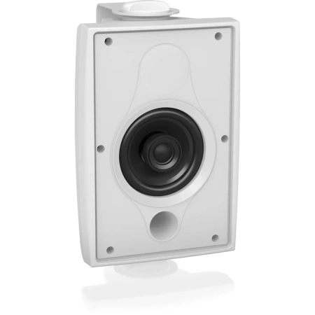 Купить TANNOY DVS 4-WH по выгодной цене в Санкт-Петербурге
