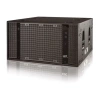 Купить DAS Audio UX-218 по выгодной цене в Санкт-Петербурге