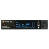 Купить DP Technology DP-200 INSTRUMENTAL по выгодной цене в Санкт-Петербурге