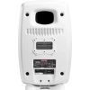 Купить Genelec 8361AW по выгодной цене в Санкт-Петербурге