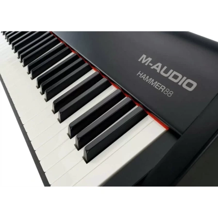 Купить M-audio Hammer 88 по выгодной цене в Санкт-Петербурге