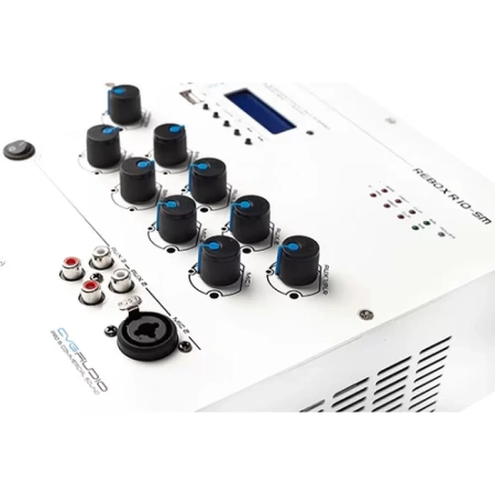 Купить CVGAUDIO ReBox R10-SM по выгодной цене в Санкт-Петербурге
