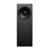 Купить Genelec W371AP по выгодной цене в Санкт-Петербурге