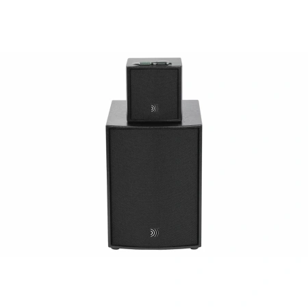 Купить DS Proaudio ANT по выгодной цене в Санкт-Петербурге