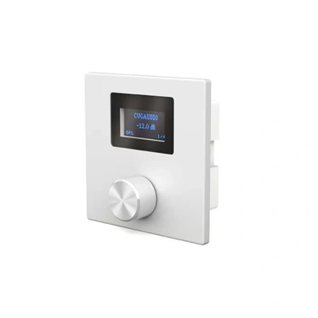 Купить CVGAUDIO P-ZONER-W/IP/A по выгодной цене в Санкт-Петербурге