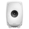 Купить Genelec 8361AW по выгодной цене в Санкт-Петербурге