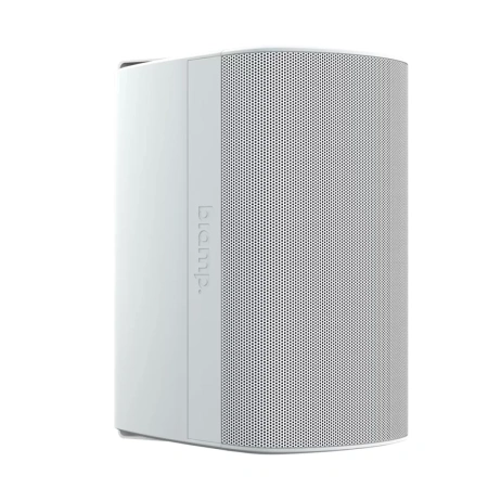 Купить Biamp Desono DX-S5-UB-W White по выгодной цене в Санкт-Петербурге