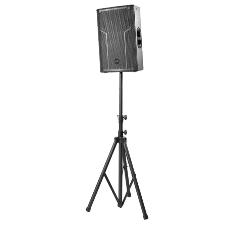 Купить DAS Audio ACTION-515 по выгодной цене в Санкт-Петербурге