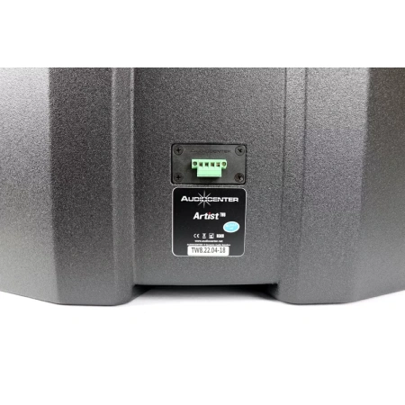 Купить Audiocenter Artist TW8 по выгодной цене в Санкт-Петербурге