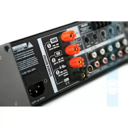 Купить CVGAUDIO M-483Tm по выгодной цене в Санкт-Петербурге