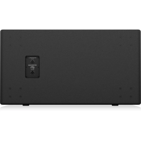 Купить TURBOSOUND MS218 по выгодной цене в Санкт-Петербурге