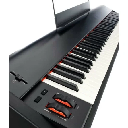 Купить M-audio Hammer 88 по выгодной цене в Санкт-Петербурге